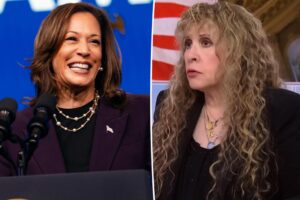 Stevie Nicks regrette son vote après avoir soutenu Kamala Harris