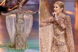 Celine Dion brille en cape rose lors du défilé Elie