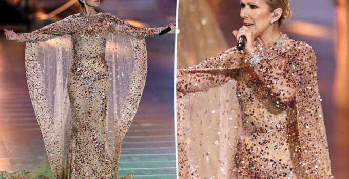 Celine Dion brille en cape rose lors du défilé Elie