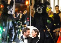 Halloween : Bradley Cooper et Irina Shayk avec leur fille