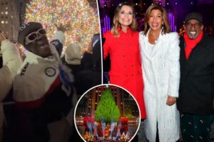 Drame sécurité Flavor Flav Rockefeller Tree lighting NBC: "Today" hosts